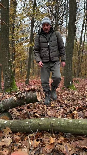 Survival Skills Swedish Fire with a Hand Saw. #survival #camping #skills #fire #outdoors #bushcraft #ideas #lifehacks #swedishfire | Sergio Outdoors