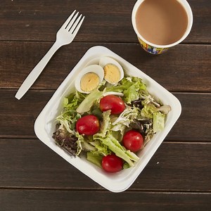 [Hot Item] 100% Biodegradable Eco-Friendly Bagasse Tableware Round 32oz Square Bowl Food Container