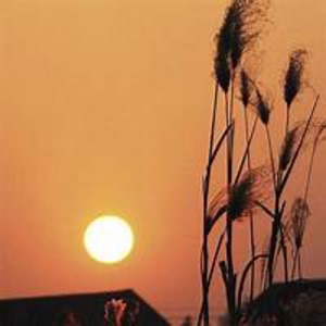 cora_andrewk - Twitch