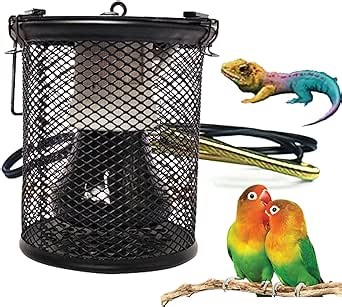No Harm Ceramic Heat Lamp Bulbs for Reptiles Bird Heater for Parakeets Parrots Bird Accessories and Supplies (Black)