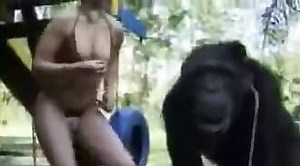 Blondine og chimpanse dyresex