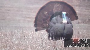 1.2K views · 23 reactions | Ça commence fort ce matin en Ontario.  旅旅旅 Évidemment l'heure sur ma caméra n'est pas bien réglée | French Connection TV | Facebook