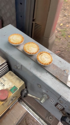 When farriers and Christmas combine! 😂🤷‍♂️ #farrier #farrierlife #farriers #horses #christmas | Harry Spinks Farrier Ltd