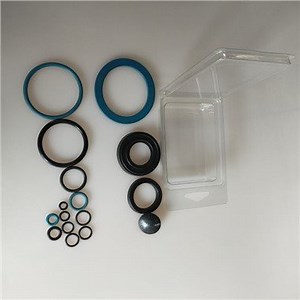 China Hudson Sprayer Maintenance Kit Manufacturers Suppliers Factory - Customized Service