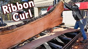 Another Log from the Giant Cherry Tree | Matt Cremona