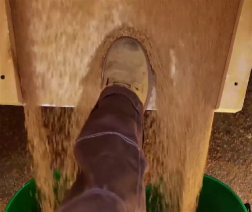 2K views · 18 reactions | Smart farming hacks to ease your daily routine! | 5-Minute Crafts House | Facebook