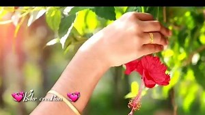 14K views · 347 reactions | #VidStatus | VidStatus | Facebook