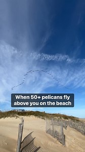 2.3K views · 32 reactions | A beach walk to remember | Sun Realty Outer Banks Vacation Rentals | Facebook