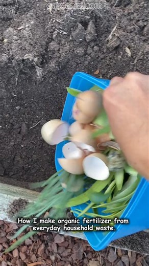 Best compost add to your garden bed #fertiliser #composting #backyardgarden #vegetables #gardens #homegrown #gardentips #gardentime | Seed to Flower