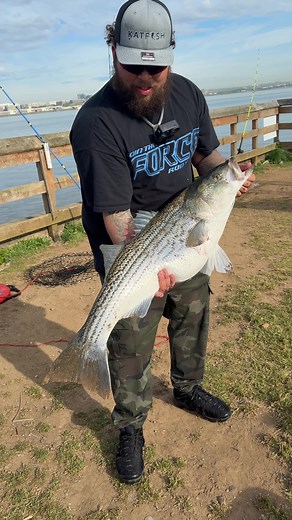 Giant Rockfish Caught While Throwing Back Blue Gil
