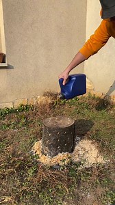 30K views · 35 reactions | Smart Stump Removal | Crafty Panda How | Facebook