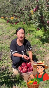 🍎 Sweetest Apples You’ll Ever See! 🍏✨ #FreshHarvest #SweetApples #FarmLife #ViralFruit | Cultivando la Tierra