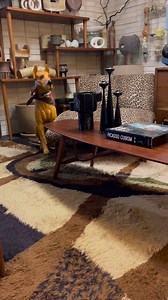 Mid century surfboard coffee table in store now! #midcentury#surfboardtable#vintagemodern#modernvintage#eclecticdecor#relovedvintage#shopsmall | Re-Loved Vintage