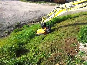 Yanmar Vio38 + Berti NKR SB80