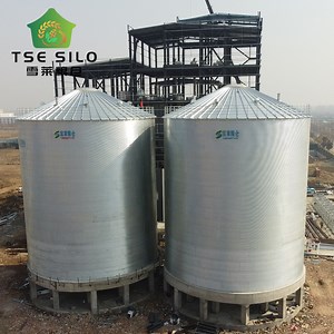 [Hot Item] Wheat Maize Silo Feed Seed Storage Hopper Silo