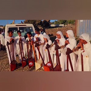 Tigray Update on Reels