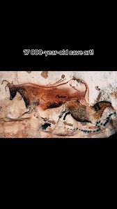562K views · 30K reactions | The Lascaux cave! #history #art | History by Mae | Facebook
