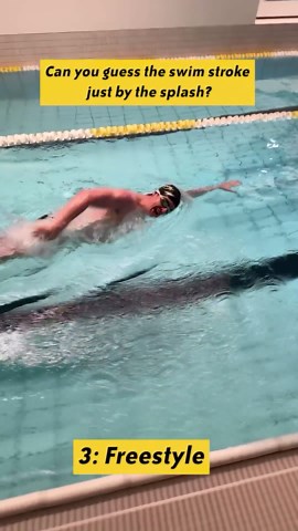 SwimGym on Instagram: "Can you guess the swim stroke just by the splash? 👂 #Swimming #swimgym #swimlife #swimrun #swimbikerun #openwaterswimming #swimmeme #swimmemes #swimcoach"