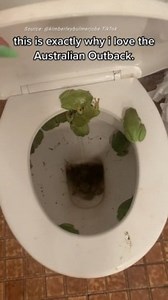 World stunned by Outback toilet find