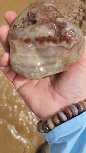 POUNDER ALERT! Freshly Found Today! Calling This Lake Superior Agate "Deuce Deuce"! Weighed In At 2lbs 2oz!!! | The Agate Dude