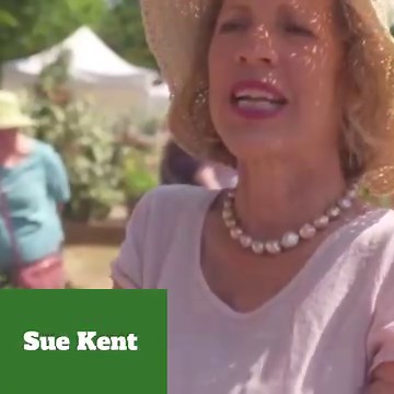 1.3K views · 89 reactions |  An accessible event offering something for everyone. A fantastic day out with real gardening, loads to see and do. ‍ Here's what Sue Kent Gardening enjoys about #BBCGWLive  https://www.bbcgardenersworldlive.com/?utm_content=sked_65ae7993b12c0c176e9e0d15&utm_medium=social&utm_name=sked&utm_source=facebook | BBC Gardeners' World Live | Facebook