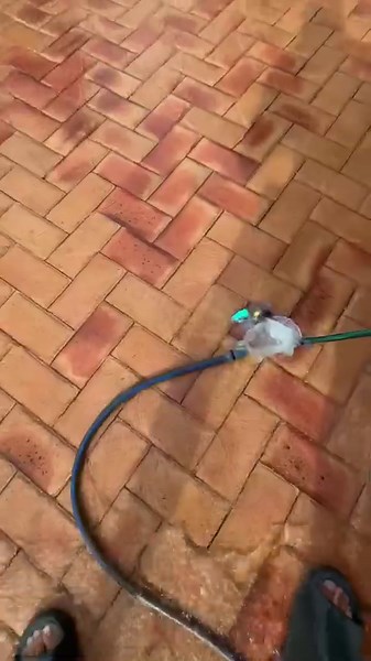 Two-Bodied Alien Floods My Garden: Cosmic Spill