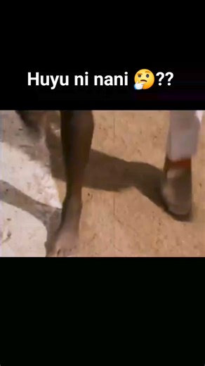 2K views · 47 reactions | Could it be our legendary Athlete Sabina Chebichi?? #kenya #athlleticskenya #worldathletics #athlete #athletics #olympics | Kenya sports | Facebook