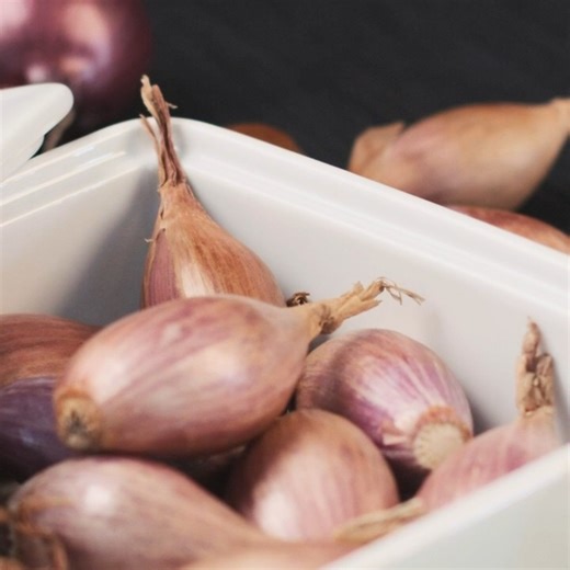 bulthaup has developed an elegant white porcelain container with lid for safe storage of provisions, protecting food from many harmful contaminants. Project by @bulthaup | bulthaup