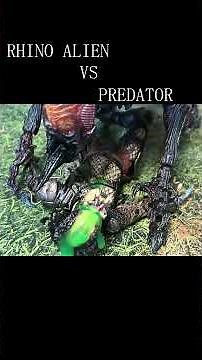 【Alien：Earth】 RHINO ALIEN VS ALPHA PREDATOR 【STOP MOTION】