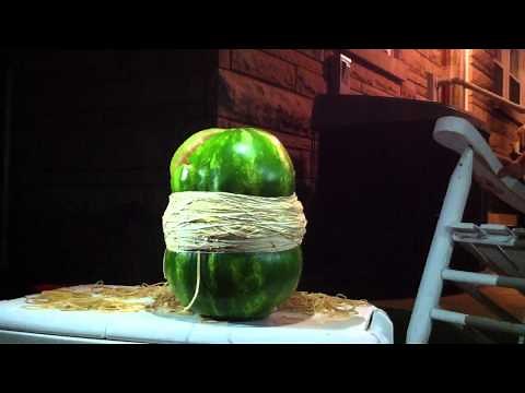 Exploding Watermelon with Rubber Bands