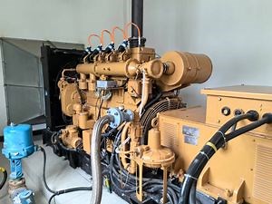 [Hot Item] 200kw New Eco-Friendly Biogas Powered Generator Sets with Silent Canopy