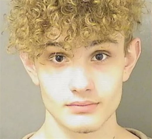 True Crime: Florida Teen Noah Galle Charged With Multiple Counts of Vehicular Homicide After High Speed Crash Killed 6 - Daily Soap Dish