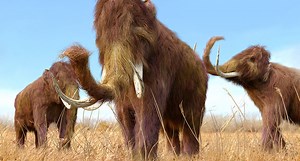360K views · 6.1K reactions | Harvard researchers say they can bring the Woolly Mammoth back from extinction. | Insider Tech | Facebook