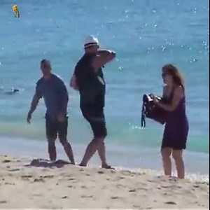 393K views · 513 reactions | Strong winds caused by aircraft landing | Airplane Market | Facebook