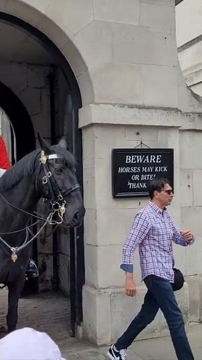 The Queen's Guard Shouts at Tourist #horseguardsparade