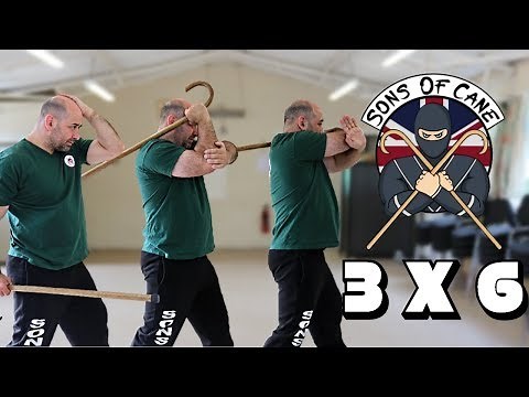 The 3 x 6 Stance Walking cane self defense: CaneMasters techniques