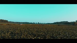 Introducing the 2023 collection! . We are very excited to share all the work our team has been up to. Special thanks to our friend Jarred Lewis for the video. | Wren & Ivy