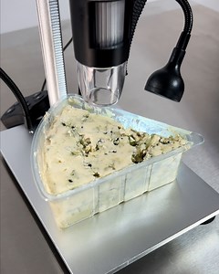 I've never seen cheese under a microscope... 🔬🧀 | Betches