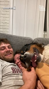 172K views · 2.9K reactions | Now THIS is a cuddle puddle! (Via - Ally B.) | The Pet Collective | Facebook