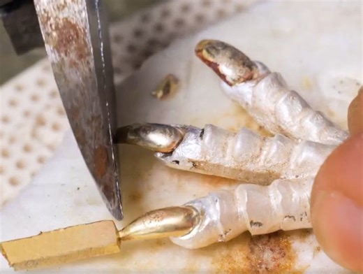 Beautiful reptile jewelry that look so sophisticated! | 5-Minute Crafts