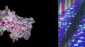 7K views | TotalSeq™ antibody-oligonucleotide conjugates enable the...