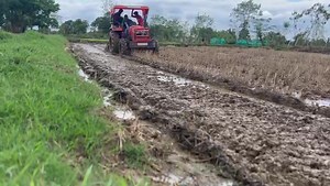 FARMPOWER Rotavator Demonstration done at Gadchiroli district , Maharashtra For more information please contact at https://wa.me/c/919311088775 https://www.instagram.com/farmpoweragri/ Toll Free :- 18001036352 WhatsApp :- 093110 88775 #Demonstration #rotavator #farmpower #farmimplements #farming #FarmerFirst #LeadingAgriEvolution #agriculture #agricultureworldwide #harkisankipowerfarmpower #happyfarmer #maharashtra #maharastraagriculture | FARMPOWER-Har Kisan Ki Power