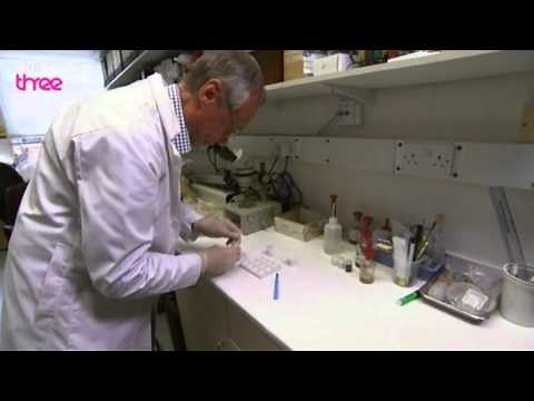 What's In An Ecstasy Tablet? - How Drugs Work, Ecstasy, Preview - BBC