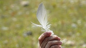 Pourquoi ne peut-on pas se chatouiller soi-même ?