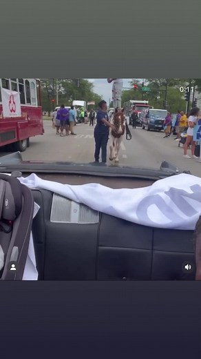 20K views · 329 reactions | Dreadhead Cowboy on Reels | Facebook