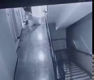 Para que vas a tener un perro 🐕 si lo que vas a hacer es golpearlo cómo este hpta 🤨😠