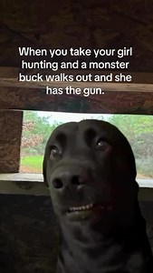 3.1K views · 451 reactions | Hey babe, let me see that gun. 﫣 Via @stumpjumpa26/TikTok | The Lindsey Way | Facebook