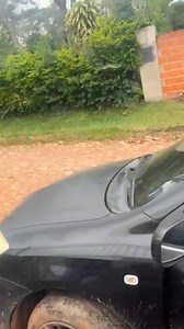 8.7K views · 36 reactions | PELEA DE PERRO Y GATOS LIMPIO CENTRAL. Una mujer denunció que fue agredida por otra al intentar defender a unos gatos que estaban siendo atacados por perros. La mujer acabó con lesiones en la cara e hizo su denuncia en la comisaría 9 Central. #dejavunews | Informativo Dejavú News | Facebook