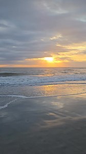 124 reactions | Yes , we can. ❤️❤️❤️ When everything is easy one quickly gets stupid. Maxim Gorky | First Light InSite | Facebook