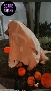 Consumer Protection WA on Reels